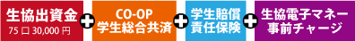 おすすめ安心プラン